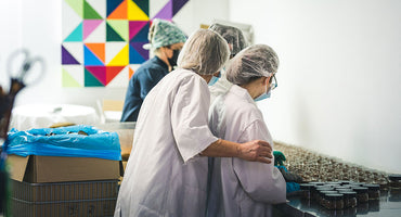 Openness, cooperation and benevolence